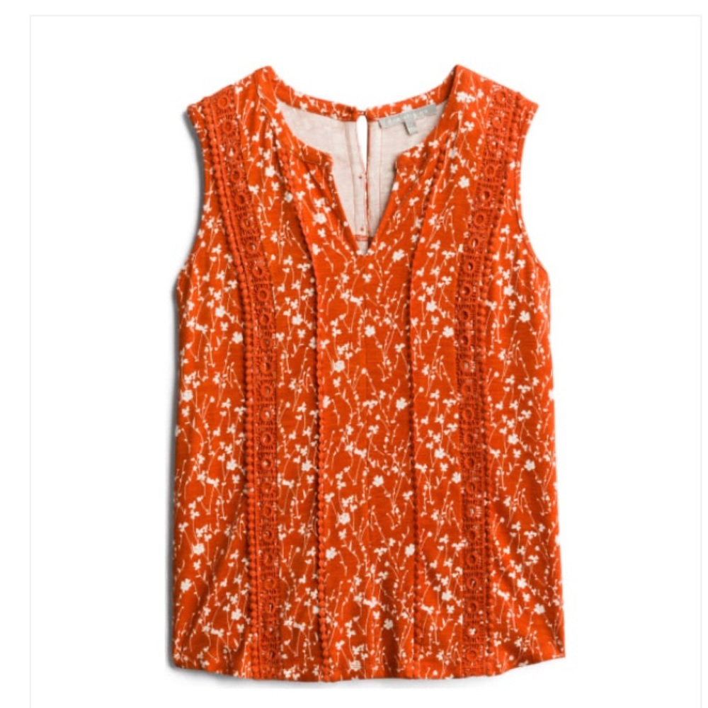 Daniel Rainn top